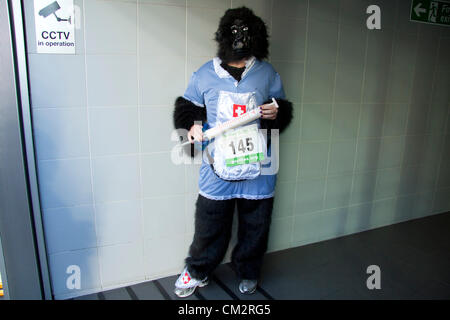 Londra REGNO UNITO. Il 22 settembre 2012. Centinaia di persone vestite con abiti di gorilla e adatta a partecipare al 7km Great Gorilla correre intorno alla città di Londra che si spera di raccogliere fondi per i progetti per la protezione delle specie in pericolo i gorilla Foto Stock