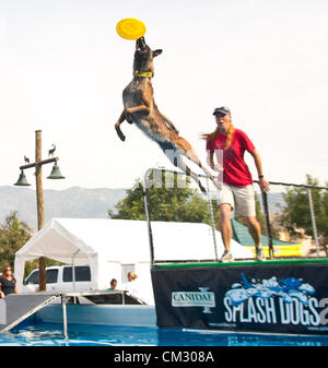 Rancho Cucamonga, CA, Stati Uniti d'America. Il 22 settembre 2012. Potenza, un belga Malinois e il suo custode KERI CARAHER competere nella fase finale del 2012 Nazionale cane Splash campionati.(Immagine di credito: © Brian Cahn/ZUMAPRESS.com) Foto Stock