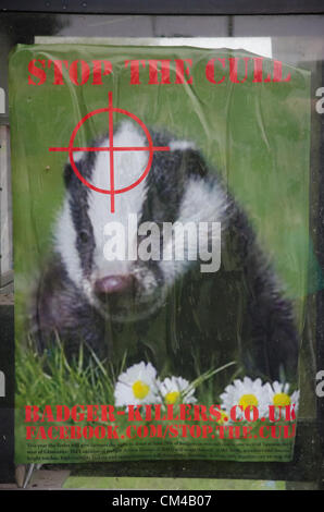 Hartpury, Gloucestershire, UK 1 Ottobre, 2012. Poster affissi nel villaggio di Hartpury da attivisti contrari all' abbattimento di badgers. Foto Stock