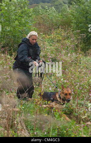 Il 2 ottobre, 2012. Machynlleth, Wales, Regno Unito. La ricerca per il mese di aprile Jones 5 che sono scomparsi dal lunedì notte a circa 19.00hrs, continua. Photo credit: Graham M. Lawrence./ Alamy Live News Foto Stock