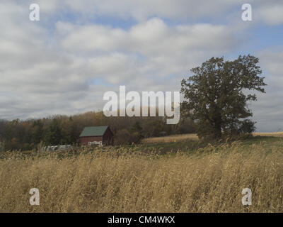 Il 4 ottobre, 2012 - Northfield, Minnesota, USA - Aprire le mani Farm è un organico fattoria di famiglia al di fuori di Northfield, Minnesota, di proprietà e gestito da Ben Doherty (Massachusetts) e Erin Johnson (Minnesota). Doherty e Johnson ha studiato agricoltura per anni in su la costa est prima di trasferirsi in Minnesota. Essi hanno posseduto la fattoria per sette anni. In un primo momento la convenzionale grecato agricoltori ci sarebbe troppo molte erbacce, ma dopo un anno i vicini venuti tutti a dire ''ciao.'' l'agriturismo ha 1 1/2 dipendenti. Essa vende soprattutto con un programma CSA e condividere i detentori di un prelevamento di verdure o di scegliere le proprie. (Credito immagine: Foto Stock