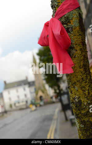 Venerdì 5 ottobre 2012. Machynlleth, Powys, Wales, Regno Unito. Nastri rosa sono visibili sulle strade di Machynlleth a sostegno della famiglia della bambina di cinque anni APRILE JONES rapiti durante la riproduzione al di fuori della propria casa il Ott 1° 2012. La polizia ha fino a 5pm di oggi per la carica, rilasciare o per applicare una estensione finale per il tempo consentito per la rimessa in discussione di 46 anno vecchio uomo locali MARK BRIDGER che è stato arrestato in connessione con il caso di martedì 2 Ott 2012. Foto Stock