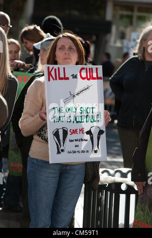 Birmingham, Regno Unito. Il 7 ottobre 2012. Per protestare contro il Badger cull. All inizio del Congresso del Partito Conservatore di Birmingham. Foto Stock