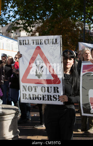 Birmingham, Regno Unito. Il 7 ottobre 2012. Per protestare contro il Badger cull. All inizio del Congresso del Partito Conservatore di Birmingham. Foto Stock