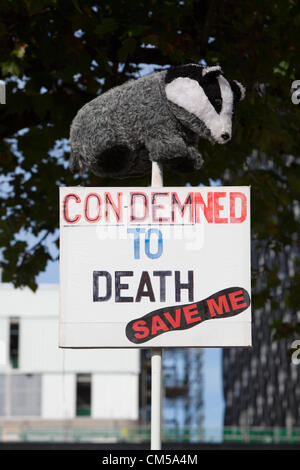 Per protestare contro il Badger cull. All inizio del Congresso del Partito Conservatore di Birmingham. Foto Stock