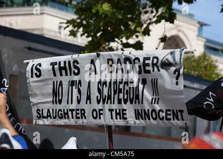 Birmingham, Regno Unito. Il 7 ottobre 2012. Per protestare contro il Badger cull. All inizio del Congresso del Partito Conservatore di Birmingham. Foto Stock