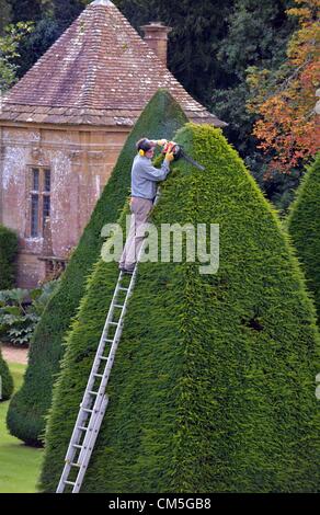 Athelhampton, Dorset, Regno Unito. 8 ottobre 2012. Patrick Cooke spende quasi due settimane di ogni anno fino a scaletta 12 di trimming iconico 30 piede alta Yew Tree piramidi a sua dimora signorile a Athelhampton Dorset. Foto di: Dorset Servizio media Foto Stock