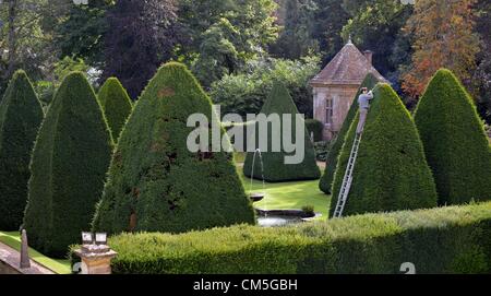 Athelhampton, Dorset, Regno Unito. 8 ottobre 2012. Patrick Cooke spende quasi due settimane di ogni anno fino a scaletta 12 di trimming iconico 30 piede alta Yew Tree piramidi a sua dimora signorile a Athelhampton Dorset. Foto di: Dorset Servizio media Foto Stock