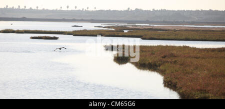 Ottobre 13, 2012 - Huntington Beach, California, Stati Uniti - Pannello approva 111 case nei pressi di Bolsa Chica zone umide. Parkside Estates includono case monofamiliari, spazio parcheggio, sentieri e le zone umide in Huntington Beach dopo la California costiera di approvazione della Commissione. Bolsa Chica riserva ecologica è una riserva naturale nella città di Huntington Beach. Esso è designato dal dipartimento della California di pesce e di selvaggina per proteggere una zona umida costiera, con i suoi residenti e minacciate specie in via di estinzione. "Bolsa Chica' significa 'piccolo sacco" in spagnolo. Delimitato su di un lato da Pacific Coast Highway e campi petroliferi e h Foto Stock