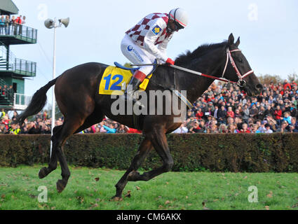 Stallone Tiumen con jockey ceca Josef Vana mostrato durante il Grand Pardubice (Velka pardubicka) siepi in Pardubice, Repubblica ceca, 13 ottobre 2012. Dieci anni di mare Orphee Des Blins con jockey Jan Faltejsek ha vinto il Grand Pardubice, il vincitore dell'anno scorso, Tiumen con jockey Josef vana, otto volte vincitore della corsa di cavalli, terminato terzo. (CTK foto/Vondrous Romano) Foto Stock