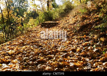 Gdansk, Polonia 20th, Ottobre 2012 Gli ultimi giorni del soleggiato e caldo autunno Meteo in Polonia. Meteorologi predire il raffreddamento rapido e neve la prossima settimana. Foto Stock