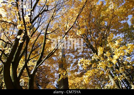 Gdansk, Polonia 20th, Ottobre 2012 Gli ultimi giorni del soleggiato e caldo autunno Meteo in Polonia. Meteorologi predire il raffreddamento rapido e neve la prossima settimana. Foto Stock