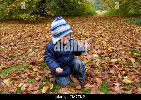 Bury St Edmunds, Suffolk. Eoin Bullimore, 14 mesi, passeggiate intorno al paesaggio autunnale nel Parco Nowton, Bury St Edmunds. Il 21 ottobre 2012 Foto Stock