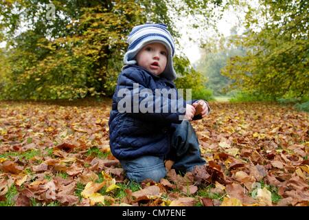 Bury St Edmunds, Suffolk. Eoin Bullimore, 14 mesi, passeggiate intorno al paesaggio autunnale nel Parco Nowton, Bury St Edmunds. Il 21 ottobre 2012 Foto Stock