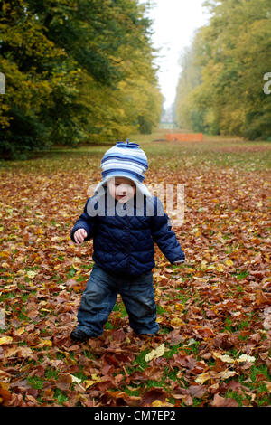 Bury St Edmunds, Suffolk. Eoin Bullimore, 14 mesi, passeggiate intorno al paesaggio autunnale nel Parco Nowton, Bury St Edmunds. Il 21 ottobre 2012 Foto Stock