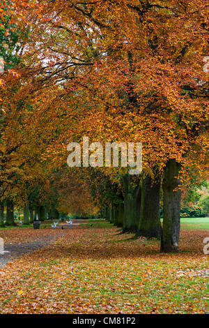 2012-10-25 i colori autunnali in Abington Park. Northampton. Regno Unito il primo giorno dal lunedì senza nebbia. Foto Stock