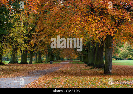 2012-10-25 i colori autunnali in Abington Park. Northampton. Regno Unito il primo giorno dal lunedì senza nebbia. Foto Stock