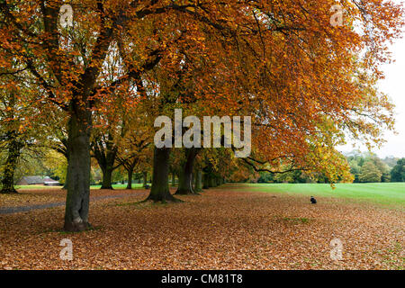 2012-10-25 i colori autunnali in Abington Park. Northampton. Regno Unito il primo giorno dal lunedì senza nebbia. Foto Stock