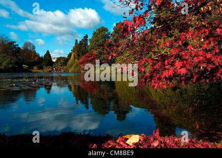 Parco Giardino di Sheffield, Sussex Regno Unito autunno le tinte di rosso e oro nel tardo ottobre sunshine. Progettato da Capability Brown verso la fine del XVIII secolo, la station wagon è gestito dalla National Trust. Foto Stock