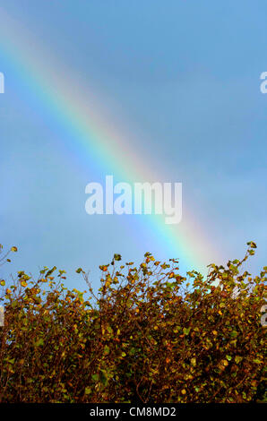 Swansea, Regno Unito. Il 29 ottobre 2012. Un arcobaleno moduli sopra il colore di autunno treetops a Swansea oggi dopo un acquazzone ha colpito la zona. Foto Stock