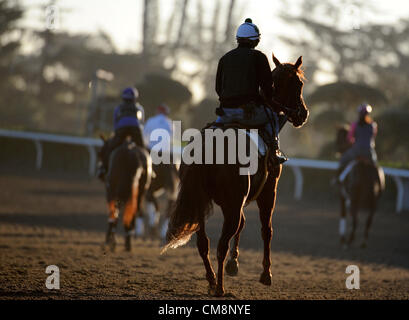 Ottobre 29, 2012 - Arcadia, California, Stati Uniti - Scene dalla mattina gli allenamenti per la prossima Breeders Cup a Santa Anita Park il 29 ottobre 2012. (Credito Immagine: © Scott Serio/eclipse/ZUMAPRESS.com) Foto Stock