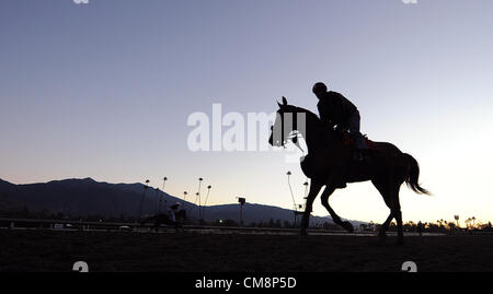 Ottobre 29, 2012 - Arcadia, California, Stati Uniti - Un formatore a prendere il suo cavallo per la mattina gli allenamenti per la prossima Breeders Cup a Santa Anita Park. (Credito Immagine: © Scott Serio/eclipse/ZUMAPRESS.com) Foto Stock