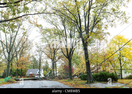 I forti venti di un uragano Sandy causati agli alberi per rovesciare portando giù le linee di alimentazione e taglio di potenza per migliaia di persone nel nord del New Jersey. Foto Stock