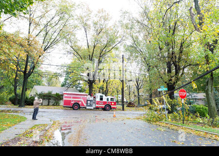 Uomo di fotografare un danno causato da forti venti di un uragano Sandy che ha causato gli alberi per rovesciare portando giù le linee di alimentazione e taglio del potere per migliaia di persone Foto Stock