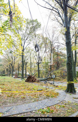 I forti venti di un uragano Sandy causati agli alberi per rovesciare portando giù le linee di alimentazione e taglio di potenza per migliaia di persone nel nord del New Jersey. Foto Stock