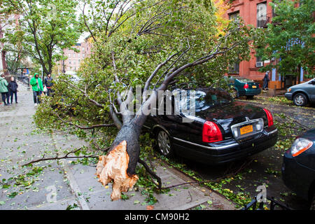 Un albero caduto ha schiacciato un auto. Dopo il passaggio dell uragano Sandy può essere visto nelle strade di New York City, Stati Uniti d'America. Il 30 ottobre 2012. Foto Stock