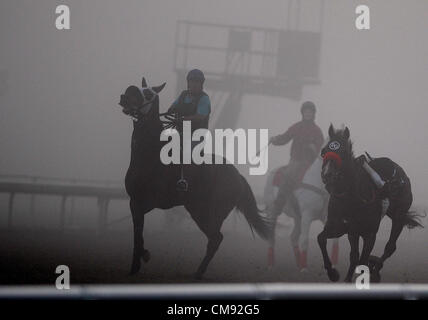 Ottobre 31, 2012 - Arcadia, California, Stati Uniti - Scene dalla mattina gli allenamenti per la prossima Breeders Cup a Santa Anita Park, il 31 ottobre 2012. (Credito Immagine: © Scott Serio/eclipse/ZUMAPRESS.com) Foto Stock