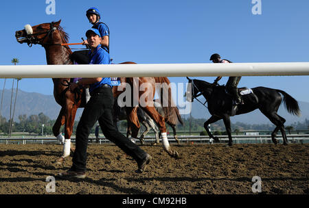 Ottobre 31, 2012 - Arcadia, California, Stati Uniti - Scene dalla mattina gli allenamenti per la prossima Breeders Cup a Santa Anita Park, il 31 ottobre 2012. (Credito Immagine: © Scott Serio/eclipse/ZUMAPRESS.com) Foto Stock