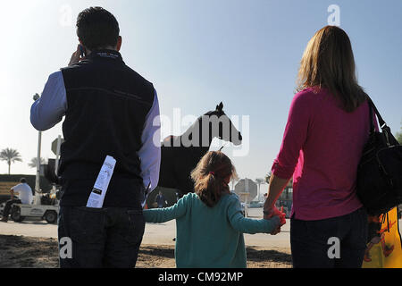 Ottobre 31, 2012 - Arcadia, California, Stati Uniti - Scene dalla mattina gli allenamenti per la prossima Breeders Cup a Santa Anita Park, il 31 ottobre 2012. (Credito Immagine: © Scott Serio/eclipse/ZUMAPRESS.com) Foto Stock