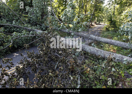 2 luglio 2012 - Charlottesville, Virginia, Stati Uniti - alberi e linee di alimentazione continua al blocco stradale in Crozet, Va. Virginia Power equipaggi sono dovrebbe rimanere loro oggi. Alta venti da venerdì notte di tempesta abbattuto numerosi alberi e hanno causato gravi interruzioni di corrente in tutta la zona. (Credito Immagine: © Andrew Shurtleff/ZUMAPRESS.com) Foto Stock