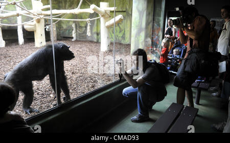 Uno scimpanzé pone nel suo contenitore in appena ricostruito Ape pavilion di Dvur Kralove nad Labem Zoo, Repubblica Ceca il 4 luglio 2012. (CTK foto/Alexandra Mlejnkova) Foto Stock