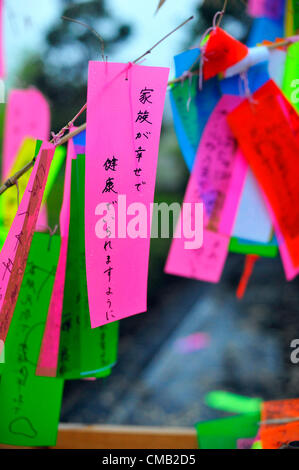 Luglio 7th, 2012 : Tokyo, Giappone - un desiderio di felicità e di salute di una famiglia era appeso su un bambù come una consuetudine di Tanabata Festival, una tradizionale festa il 7 luglio di ogni anno, a Zojoji, o Tempio Zojo Tempio, a Shibakouen, Minato a Tokyo, in Giappone il 7 luglio 2012. Anche se il festival è stato supposto per celebrare le stelle, pioveva e nuvoloso di quest'anno. (Foto da Koichiro Suzuki/AFLO) Foto Stock