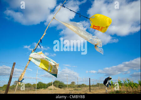 4 giugno 2012 - Maqhina (villaggio, dello Zimbabwe - Giugno 4, 2012, Matobo, dello Zimbabwe - sacchetti di plastica sono appesi su stringhe a spaventare gli uccelli al Maqhina astrazione di sabbia e giardino nel quartiere di Matobo dello Zimbabwe. Cancellati da Bush nel 2011 attraverso un alimento per le risorse (FFA) progetto, il 4.8 acri di giardino è coltivata da 30 membri del gruppo scelto dalla comunità a partecipare al progetto. CRS purché la sabbia pompa di astrazione, i materiali per il sito e una vasta gamma di corsi di formazione per i membri attraverso il premio (promuovere il recupero in Zimbabwe) progetto, essendo effettuata congiuntamente da CRS, cura Foto Stock