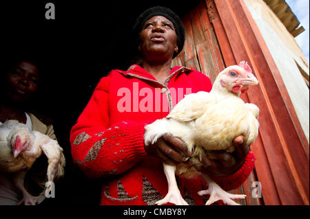 4 giugno 2012 - Maqhina (villaggio, dello Zimbabwe - Giugno 4, 2012, Matobo, dello Zimbabwe - un membro della regina Kezi Village di risparmi e prestiti (VSL) gruppo nel villaggio di Maqhina, Zimbabwe, pone con un pollo a lei e gli altri membri del gruppo hanno acquistato attraverso le loro piccole imprese. La VSL concetto è progettato per consentire ai beneficiari la possibilità di mettere in comune le loro risorse e prendere i prestiti che i membri possono accedere per le piccole imprese, ma questo gruppo riunite tutte le loro risorse per avviare un business insieme - anche una valida alternativa. CRS supporta il gruppo attraverso il premio (promuovere il recupero in Zimbabwe) co Foto Stock