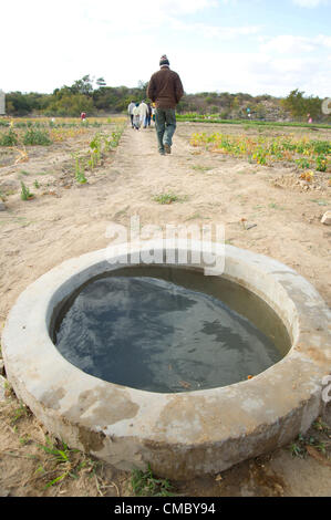 4 giugno 2012 - Maqhina (villaggio, dello Zimbabwe - Giugno 4, 2012, Matobo, dello Zimbabwe - primo pompato da una pompa a mano chiamato un astrazione di sabbia, pompa acqua alla sabbia Maqhina astrazione e il giardino viene poi pompato in un serbatoio di stoccaggio principale all'interno dell'4,8 acri, prima di essere infine incanalato al più piccolo acqua trogoli (visto qui) trova attraverso il sito. Da questi, il gruppo di trenta membri possono accedere all'acqua con benne per irrigare i loro terreni. CRS fornito alla pompa, i materiali per il sito e una vasta gamma di corsi di formazione per i membri del gruppo attraverso il premio (promuovere il recupero in Zimbabwe) p Foto Stock