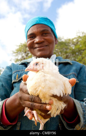 4 giugno 2012 - Maqhina (villaggio, dello Zimbabwe - Giugno 4, 2012, Matobo, dello Zimbabwe - un membro della regina Kezi Village di risparmi e prestiti (VSL) gruppo nel villaggio di Maqhina, Zimbabwe, pone con un pollo a lei e gli altri membri del gruppo hanno acquistato attraverso le loro piccole imprese. La VSL concetto è progettato per consentire ai beneficiari la possibilità di mettere in comune le loro risorse e prendere i prestiti che i membri possono accedere per le piccole imprese, ma questo gruppo riunite tutte le loro risorse per avviare un business insieme - anche una valida alternativa. CRS supporta il gruppo attraverso il premio (promuovere il recupero in Zimbabwe) co Foto Stock