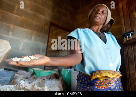 Giugno 20, 2012 - Villaggio Machipisa 29 (villaggio, dello Zimbabwe - Giugno 20, 2012, Sanyati, dello Zimbabwe - un membro della Kupfuma Ishungu risparmio e prestito interno comunità (SILC) gruppo in Machipisa, Zimbabwe, pone nella stanza di deposito che essi utilizzano per grano versati a loro per la macinazione del grano servizi. Il gruppo accetta sia il denaro e grano come pagamento per il loro lavoro che essi fanno con un mulino di macinazione hanno acquistato con i loro risparmi collettivi. Lavorando attraverso l'agenzia partner della Caritas dello Zimbabwe, CRS ha iniziato il gruppo nel Marzo 2012 attraverso il potenziato Acqua Rurale misure sanitarie e igieniche (ER LAVARE) Progetto Foto Stock