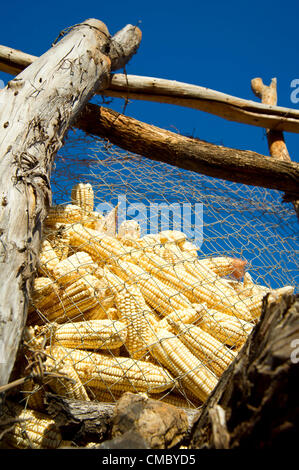 Giugno 20, 2012 - Villaggio Machipisa 29 (villaggio, dello Zimbabwe - Giugno 20, 2012, Sanyati, dello Zimbabwe - il mais in un esterno di silo di stoccaggio presso la casa di un membro dell'Kupfuma Ishungu risparmio e prestito interno comunità (SILC) in Machipisa, Zimbabwe. I membri prendono il pagamento per la macinazione del mais in entrambe le valute e il granturco, ai quali essi possono vendere a fornire ai membri del gruppo o del servizio il mulino di macinazione hanno acquistato con i loro risparmi collettivi. Il gruppo è uno dei 40 gruppi SILC avviato dal CRS nel quartiere Sanyati attraverso la Caritas Zimbabwe come parte dell'Enhanced Acqua Rurale misure sanitarie e igieniche (ER W Foto Stock