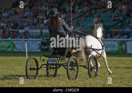 Il 24 luglio 2012. Llanelwedd, Wales, Regno Unito. I concorrenti per il carrello di guida e trotto eventi Godetevi il clima estivo presso il Royal Welsh Show 2012. Photo credit: Graham M. Lawrence/Alamy Live News Foto Stock