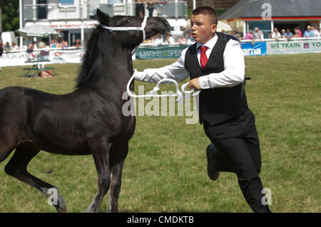 Il Royal Welsh Agricultural Show, Llanelwedd, Wales, Regno Unito. Il 25 luglio 2012. Un numero record di visitatori vengono riportati al terzo giorno del Royal Welsh spettacolo agricolo a causa del calore straordinario-onda in Galles Centrale. Photo credit: Graham M. Lawrence/Alamy Live News Foto Stock