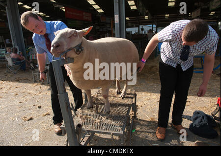 Il Royal Welsh Agricultural Show, Llanelwedd, Wales, Regno Unito. Il 25 luglio 2012. Un numero record di visitatori vengono riportati al terzo giorno del Royal Welsh spettacolo agricolo a causa del calore straordinario-onda in Galles Centrale. Photo credit: Graham M. Lawrence/Alamy Live News Foto Stock