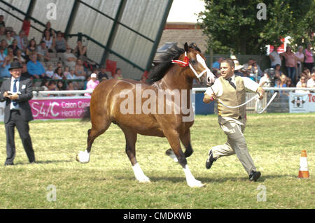 Il Royal Welsh Agricultural Show, Llanelwedd, Wales, Regno Unito. Il 25 luglio 2012. Un numero record di visitatori vengono riportati al terzo giorno del Royal Welsh spettacolo agricolo a causa del calore straordinario-onda in Galles Centrale. Photo credit: Graham M. Lawrence/Alamy Live News Foto Stock