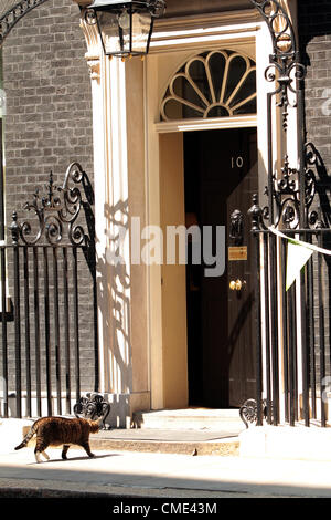 Downing Street's cat Larry arriva al numero 10 26.07.2012 Foto Stock
