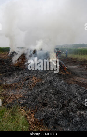 11 ago 2012. Cappella Brampton. Northamptonshire U.K. 11 agosto 2012. 600 balle di erba elefante, distrutto da un incendio a fianco di Merry Tom Lane, 200 metri dal modo Midshires. Fire equipaggi erano in operatori la maggior parte della notte, un equipaggio di rilievo ha assunto a 0930 questa mattina. Il miscanto (comunemente noto come erba elefante) è una ad alta resa del raccolto di energia che cresce di oltre 3 metri di altezza produce un raccolto ogni anno senza la necessità di reimpianto. utilizzati prevalentemente per la produzione di materie prime ma anche come biocarburante. Credito: Keith J Smith. / Alamy Live News Foto Stock