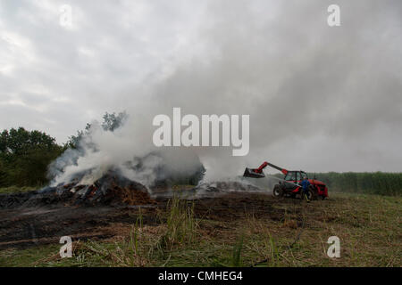 11 ago 2012. Cappella Brampton. Northamptonshire U.K. 11 agosto 2012. 600 balle di erba elefante, distrutto da un incendio a fianco di Merry Tom Lane, 200 metri dal modo Midshires. Fire equipaggi erano in operatori la maggior parte della notte, un equipaggio di rilievo ha assunto a 0930 questa mattina. Il miscanto (comunemente noto come erba elefante) è una ad alta resa del raccolto di energia che cresce di oltre 3 metri di altezza produce un raccolto ogni anno senza la necessità di reimpianto. utilizzati prevalentemente per la produzione di materie prime ma anche come biocarburante. Credito: Keith J Smith. / Alamy Live News Foto Stock