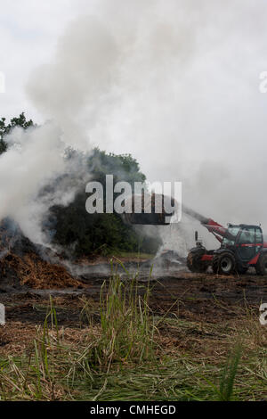 11 ago 2012. Cappella Brampton. Northamptonshire U.K. 11 agosto 2012. 600 balle di erba elefante, distrutto da un incendio a fianco di Merry Tom Lane, 200 metri dal modo Midshires. Fire equipaggi erano in operatori la maggior parte della notte, un equipaggio di rilievo ha assunto a 0930 questa mattina. Il miscanto (comunemente noto come erba elefante) è una ad alta resa del raccolto di energia che cresce di oltre 3 metri di altezza produce un raccolto ogni anno senza la necessità di reimpianto. utilizzati prevalentemente per la produzione di materie prime ma anche come biocarburante. Credito: Keith J Smith. / Alamy Live News Foto Stock